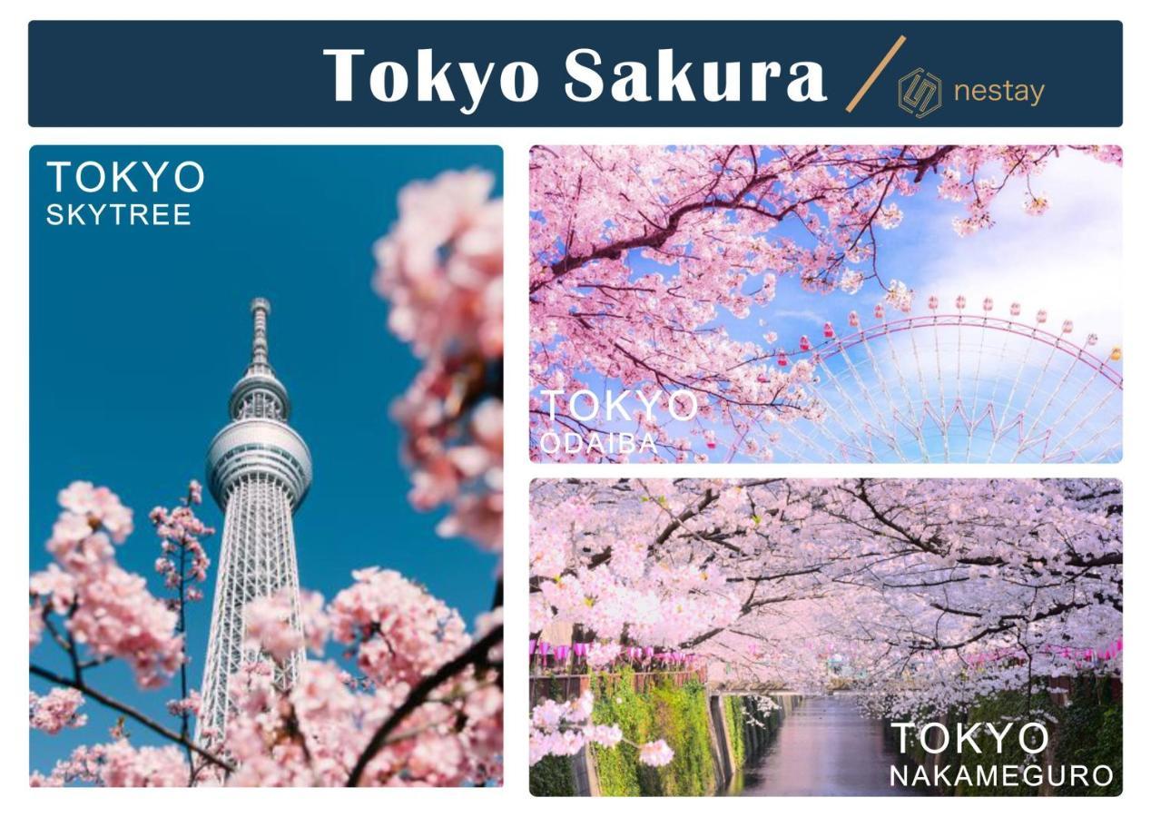 Nestay Inn Tokyo Otsuka 201 外观 照片